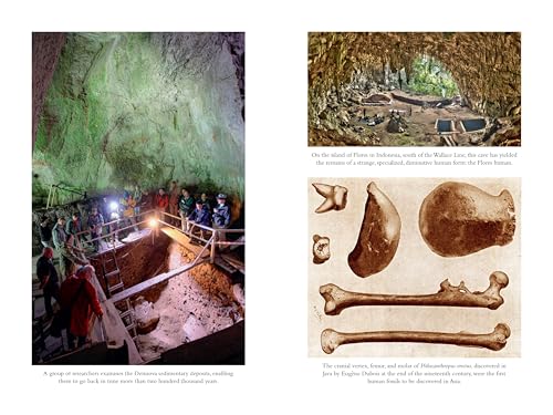 Image of The Secret World of Denisovans: The Epic Story of the Ancient Cousins to Sapiens and Neanderthals