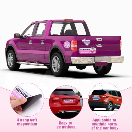 3 Magnetische Aufkleber für Fahrschüler, Selbstklebend Reflektierende Aufkleber für Fahranfänger Logo für Fahranfänger für Fahranfänger (Gans)