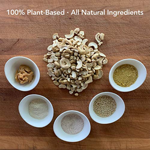 CHEEZ Vegan Cheese | Fermented Dairy Free Cheese Dip | All-Natural Plant Based Cheese Spread | Healthy Alternative to Dairy Cheese | Tangy Gluten Free Cashew Cheese Snack