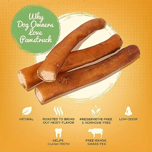 Pawstruck-All-Natural-9-Bully-Sticks-for-Dogs-Best-Long-Lasting-Rawhide-Free-Low-Odor-Grain-Free-Dental-Chew-Treat-Healthy-Single-Ingredient-100-Real-Beef-1-lb-Bag - Cucciolini Doodles   Pawstruck-All-Natural-9-Bully-Sticks-for-Dogs-Best-Long-Lasting-Rawhide-Free-Low-Odor-Grain-Free-Dental-Chew-Treat-Healthy-Single-Ingredient-100-Real-Beef-1-lb-Bag
