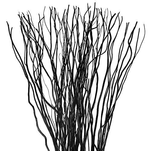 Xinnun 50 Pcs Curly Willow Branches Decorative Dried Willow Vase Filler Tree Branches for Artificial Twigs Sticks for DIY Crafts Home Decor(Black 15.75 Inch)