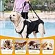 Hundeliftgeschirr, Haustierunterstützung Hund Lift Support für Hunde, Rehabilitation Geschirr Mobilität Sling für Alt, Gelenkverletzungen, Arthritis, Stabilitätsverlust Hunde, Schwarz (L)