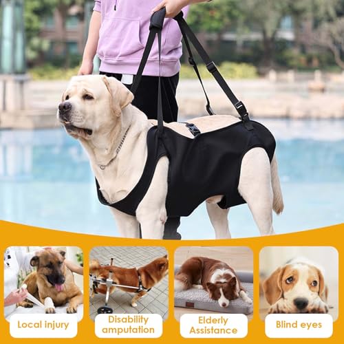 Hundeliftgeschirr, Haustierunterstützung Hund Lift Support für Hunde, Rehabilitation Geschirr Mobilität Sling für Alt, Gelenkverletzungen, Arthritis, Stabilitätsverlust Hunde, Schwarz (M)