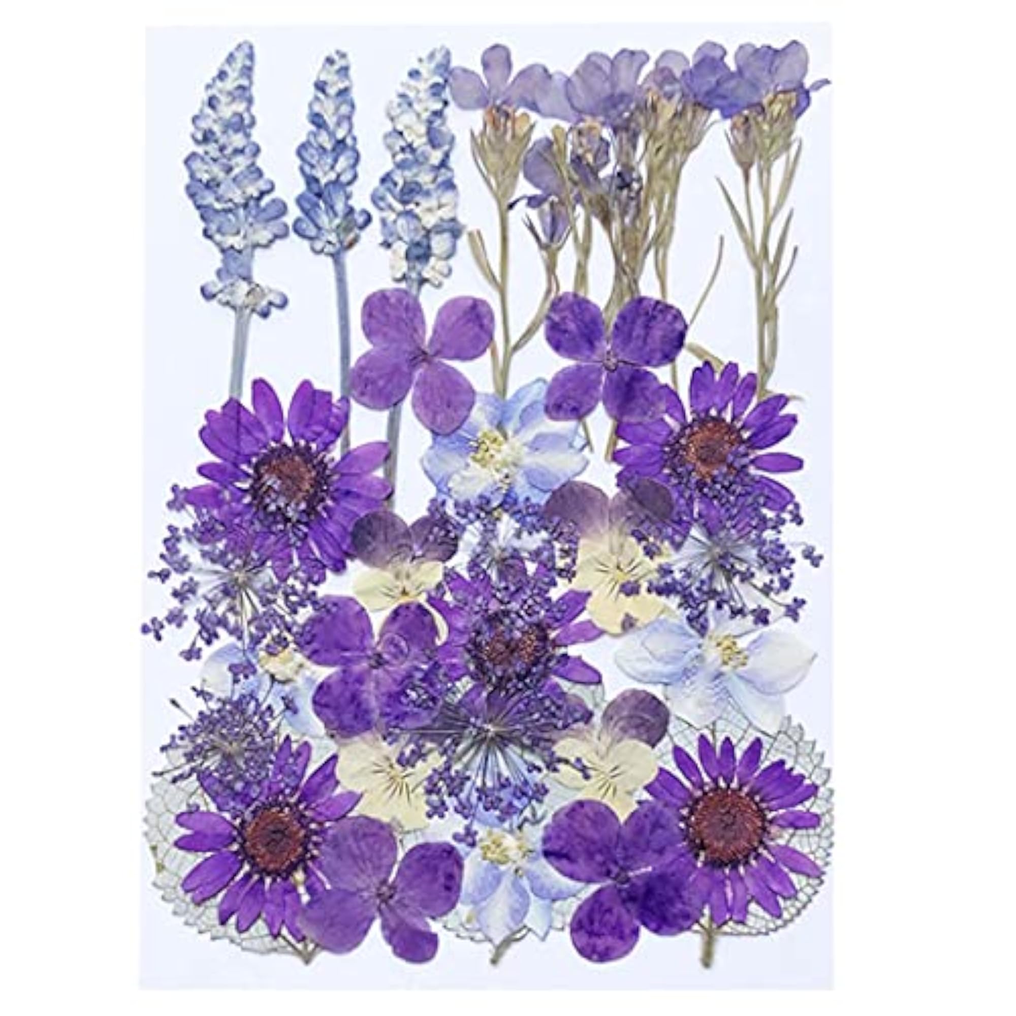 Real Dried Flower Kit for DIY Crafting