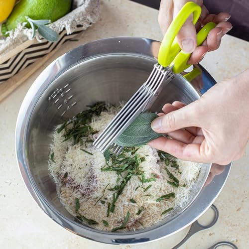 Tesoura Para Ervas com 5 Lminas em Plástico/Aço Inox Fackelmann Verde