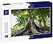 Lais Puzzle Grand Vieil Arbre 1000 Pièces