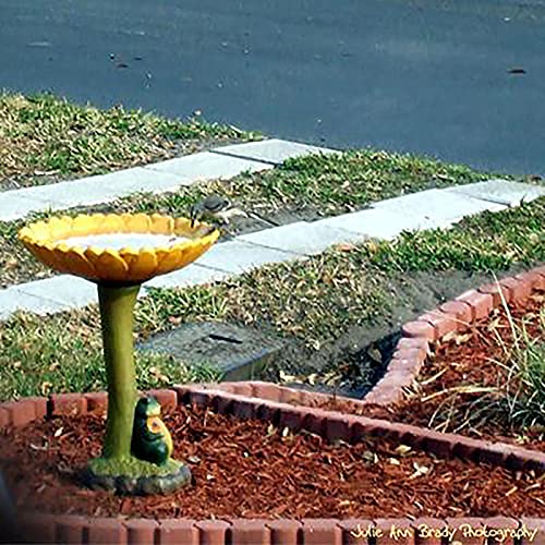 Bain d'oiseaux de jardin TEEKU vert en résine polyrésine pour cour - 5