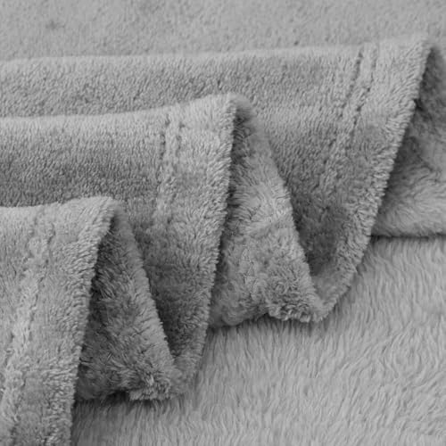Aisbo Kuscheldecke Flauschig Decke Grau - Fleecedecke Warme Sofa Decke für Winter, Kuschlige Wohndecke Hellgrau Kinder Weich als Wohnzimmer, Blanket 130x150 cm Klein Couchdecke