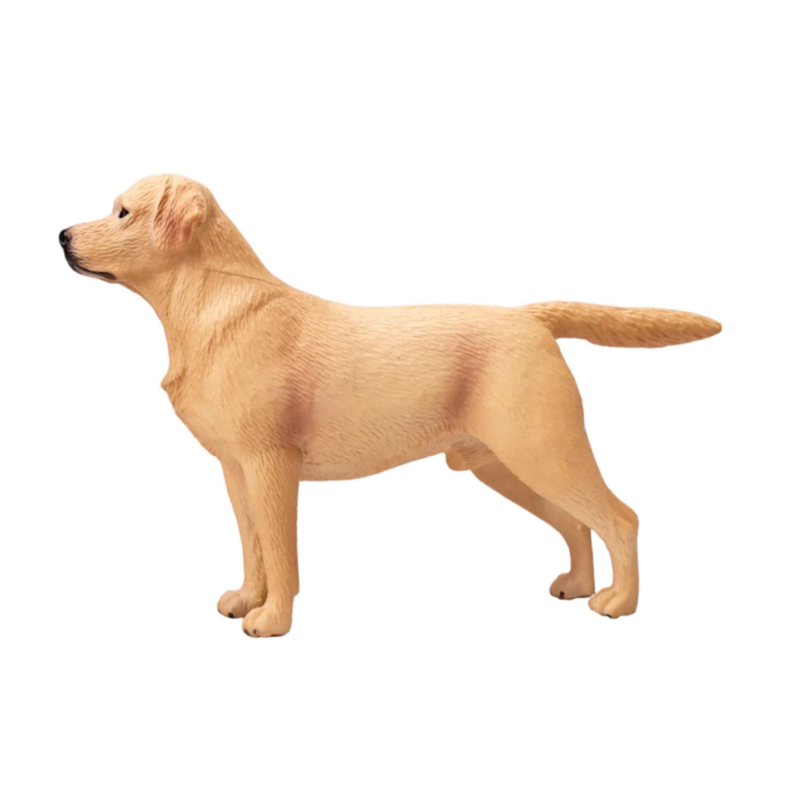 Figurine de collection Labrador 1:6 haute fidélité avec accessoires