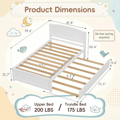 Lista de Cama doble del mes. 11 Lista de Cama doble del mes. 9