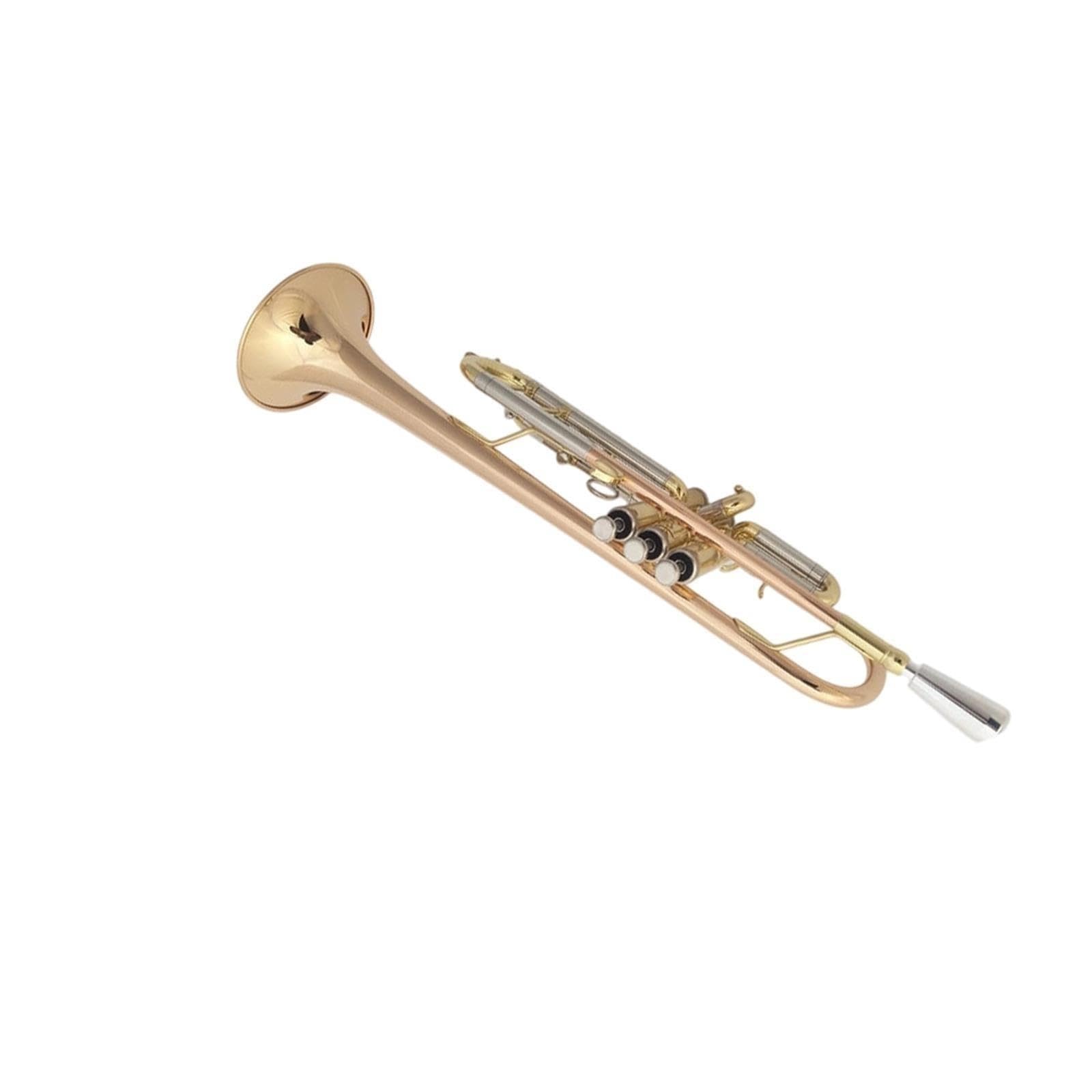 Trumpet Trompeta en si bemol principiante