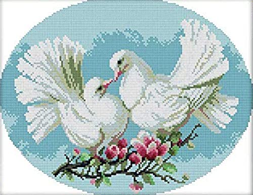 Kit broderie point de croix débutant Pigeon : apprenez sans erreur sur toile 40x50cm