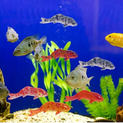 Image of BESPORTBLE 5Pcs Fake Fish: Realistic Resin Lucky Figurine for Aquarium Decor - Interior Decoration for Fish Tank, Vases - Outdoor Garden Pond (5.5X1.8CM)