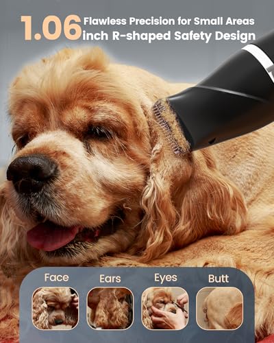 Image of 4 in 1 Dog Clippers for Grooming Thick Hair, 2000mAh Heavy Duty Dog Grooming Kit, 2-Speed Low Noise Dog Paw Trimmer with Nail Grinder for Body, Paws, Nail, Face, Ears, Legs