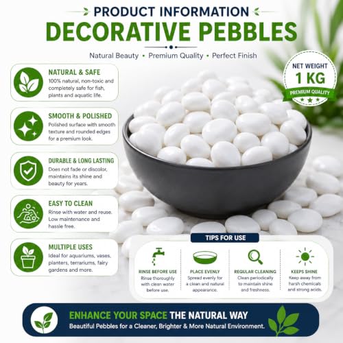 Image of Bindian Decorative Pebble Stone, Multicolour, Natural Stone, Smooth & Polished, for Aquarium, Garden, Plant Pot, Fountain Decor (2 Kg, White)