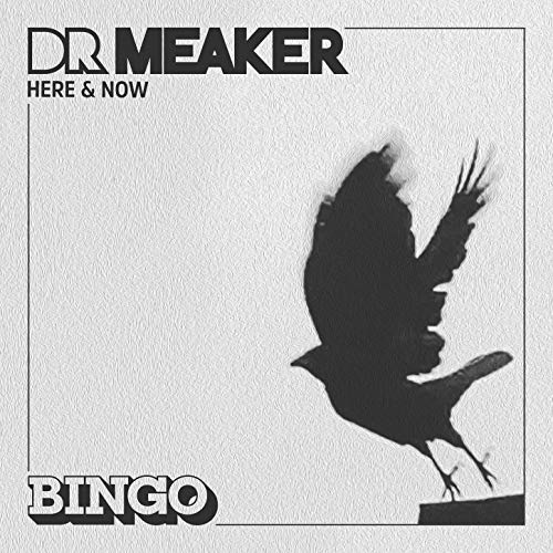 Dr Meaker