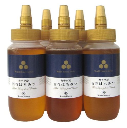 ߓ{I@Ji_YSԖI@485g×5Zbg