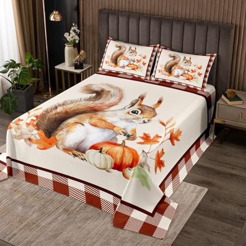 Fall Pumpkin Maple Leaf Coverlet Set Chic Autumn Harvest Squirrel Quilted Coverlet Vintage Wood Plank Grid Comforter Set Bedspreads Quilt Set for Children Kids Coverlet Set,Twin Size 2 Pcs