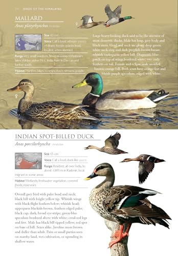 Image of Birds of the Himalayas: A Photographic Field Guide | Biodiversity of Northeast India | Nature Photography | Mountain and Hill Ecosystems | Nature Photography