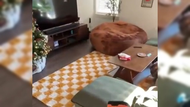 Dispositif Anti-aboiement Ultrason Chien - Silencieux Et Réglable - Pour Intérieur Et Extérieur - Modes Lumière Et Sifflet - Correction Comportement Rapide - 9