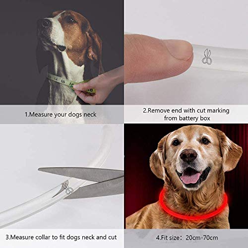 CCWW LED Leuchthalsband für Hunde USB Aufladbar LED Hundehalsband Stück hundehalsband Leuchtend Wiederaufladbares und Längenverstellbareres mit DREI Beleuchtungsmodi für Hunde und Katzen