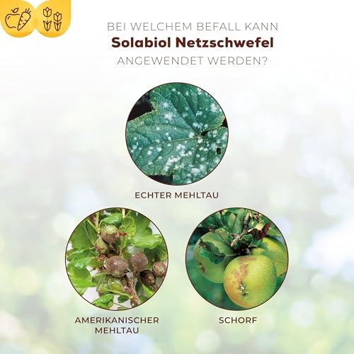 Solabiol Netzschwefel, natürliches Fungizid gegen Echten Mehltau an Obst, Gemüse und Zierpflanzen, 5 x 15 g Portionsbeutel