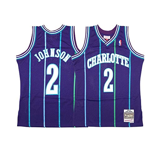 Mitchell & Ness Charlotte Hornets Larry Johnson Alternate 1994-95 Swingman Jersey Purple