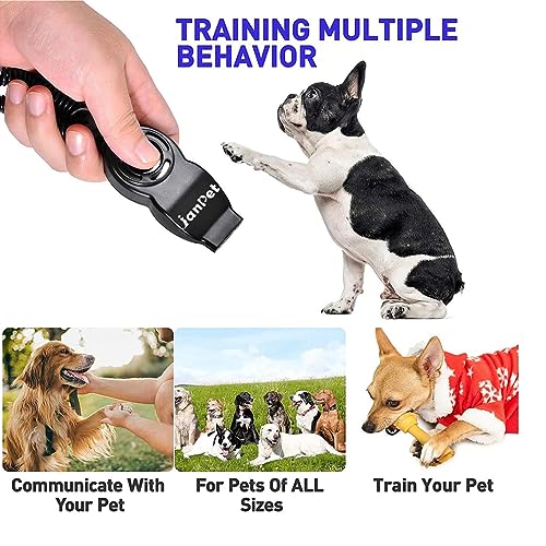 Training Tips for Clicker and Whistle Use