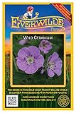 Everwilde Farms - 25 Wild Geranium Native Wildflower Seeds - Gold Vault Seed Packet