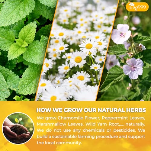 Image of TOG999, Diverticulitis Tea Bags | 40 Count | 100% Natural Chamomile, Peppermint, Marshmallow Leaf, Wild Yam Root, Licorice & Ginger Herbal Blend - Caffeine-Free Comfort Tea, Vegan.