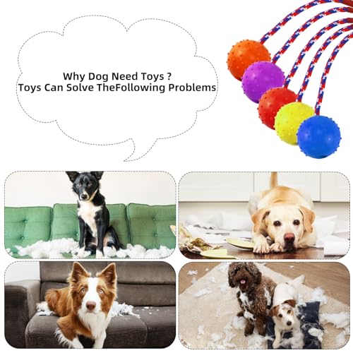 UptVin Lot de 6 balles en caoutchouc naturel - Avec cordon Pour chiens de toutes tailles - Avec 1 balle de nourriture – Image 5