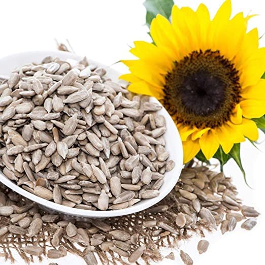 Image of Eywa Seeds & Exports Pvt Ltd Organic Sunflower Oil (2 Liter) Cold Pressed /Wood Pressed Oil|Surajmukhi /Sunflower Kachi Ghani Ka Tel By (Suhani) Eywa