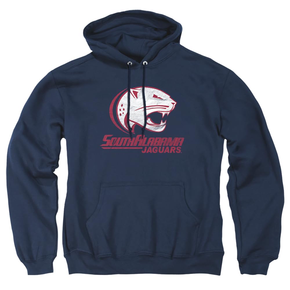 LOGOVISION Official Collegiate Distressed Primary Logo Adult Pullover Hoodie Collection — view 528