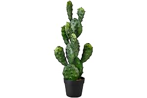 Serene Spaces Living Artificial Prickly Pear Cactus in Plastic Black Pot