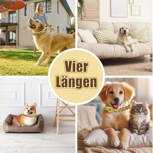 Kettenhalsband Hund, Edelstahl Hundehalsband mit Sicherer Schnalle, Verstellbar 25-55cm für Mittelgroße & Große Hunde, Kautfest & Hautfreundlich, Cuban Kette Halsband Hundetraining(35cm)