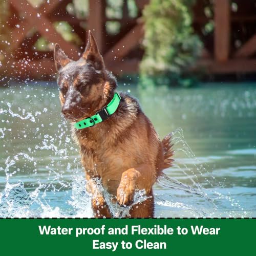 Image of Adil's Biothane Waterproof Dog Collar, Dog Leash & Collar Leash Combo | Heavy Duty TPU Coated Webbing | Adjustable Quick Release Buckle | Odour Resistant (Forest Green, L-22, Collar only)