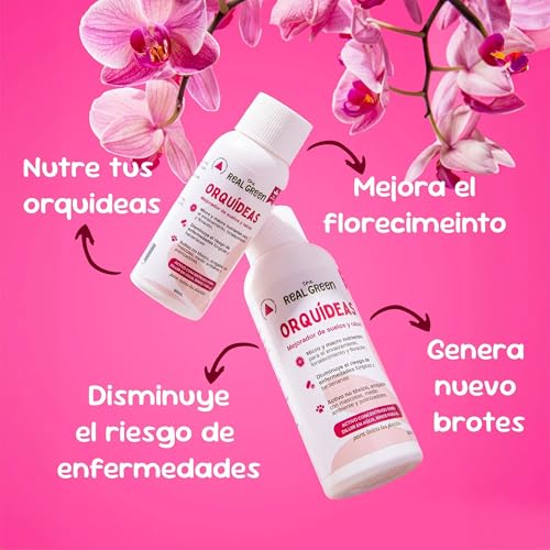 La mejor comparación de Orquideas . 8 Imagen adicional