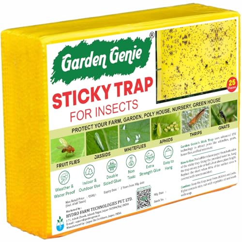 Image of Garden Genie Yellow Sticky Trap for Insects 25 Traps (150x200mm) | Double Sided Glue /Fly /Insect Catcher /Sticky Pads for Flying Insects, Thrips, White Flies Etc | Suitable for Gardens & Farms