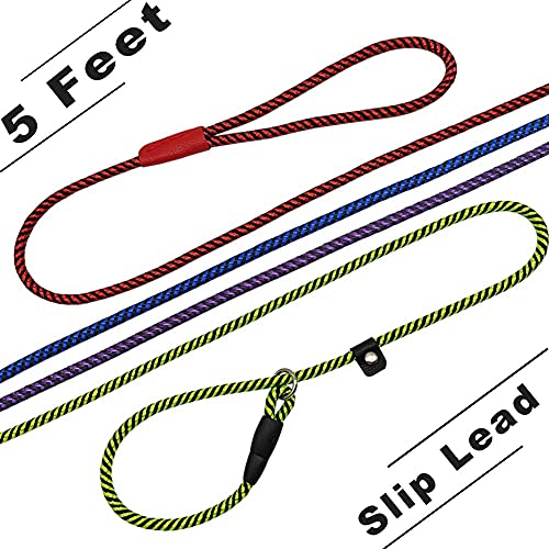 Maypaw Dog Leash Rope Slip Lead,1/4"-5Ft Durable Nylon Puppy Leash- Colorful Adjustable Training Pet Leash For Small And X-Small Dogs #TOP2