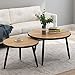 Tribesigns Industrial Nesting Coffee Table Set of 2, Round End Side Table for Living Room Balcony Home and Office, Solid Wood & Metal Tube