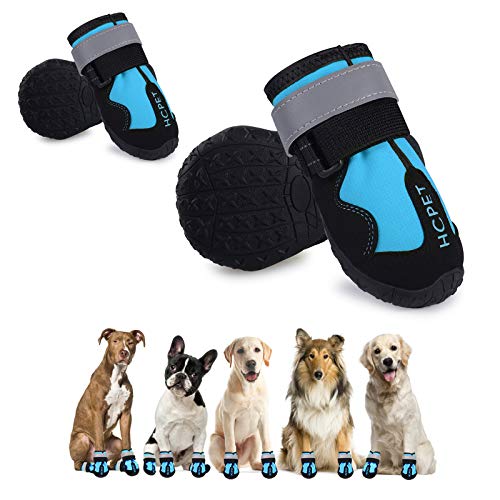 50 Best dog boots for large dogs 2022 After 167 hours of research and