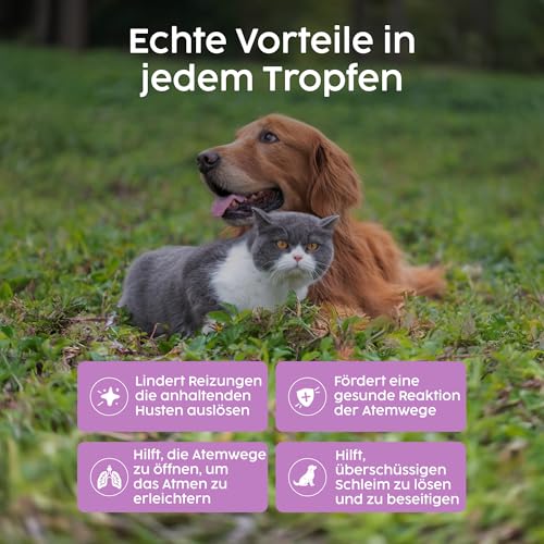 Zanipro Hustensaft Hund & Katze – Kennel Husten (Zwingerhusten) Behandlung, Erkältung & Schnupfen, Atemwege Unterstützung, Nasentropfen & Hustentropfen für Hunde und Katzen -Tinktur, 50 ml