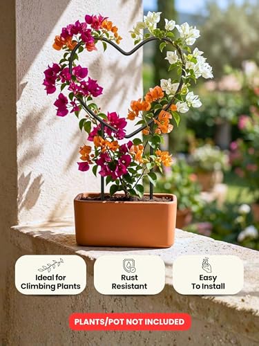 Image of Bombay Greens Heart Metal Trellis Climbers Support for Plants | Iron Garden Money Plant Climbers & Plant Support Stick | Rust Resistant Plant Support Ring for Indoor & Outdoor Garden Pots - Pack of 2