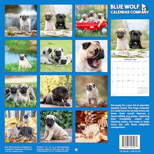 2026 Pugs Monthly Wall Calendar | Cute Dogs Calendar September 2025 - December 2026