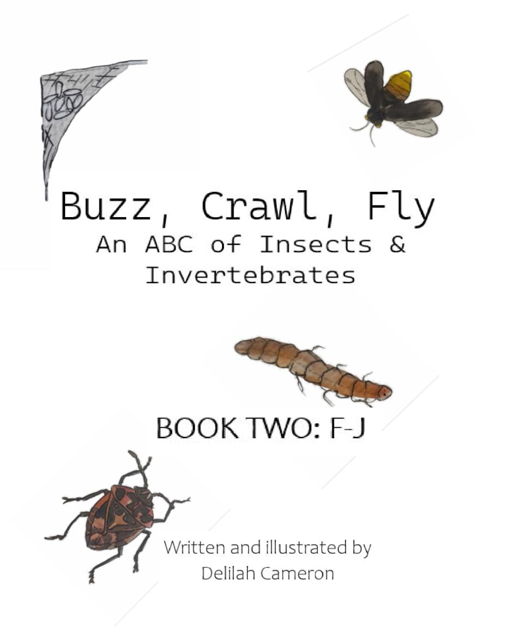 Buzz, Crawl, Fly - An ABC of Insects & Invertebrates: Book Two: F-J