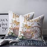 ❀ Cerniera nascosta: la chiusura con cerniera invisibile rende la federa quadrata più elegante. Facile da mettere o togliere l'inserto del cuscino. (Inserto o riempitivo NON incluso) Cuciture delicate per evitare sfilacciature e strappi.