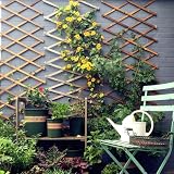 LANZLC Rankgitter Holz Ausziehbar, Holzspalier 200 x 30cm Gartenzaun Holzzaun Deko Scherengitter Verstellbar Pflanzengitter Gartengitte Trellis Hartholz Spalier für Balkone und Gärten, Naturholzfarbe