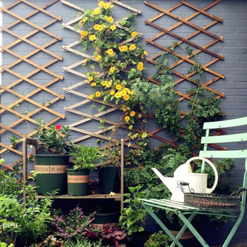 LANZLC Rankgitter Holz Ausziehbar, Holzspalier 200 x 30cm Gartenzaun Holzzaun Deko Scherengitter Verstellbar Pflanzengitter Gartengitte Trellis Hartholz Spalier für Balkone und Gärten, Naturholzfarbe