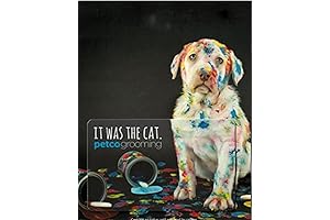 Amazon Gift Card Designed for Cats