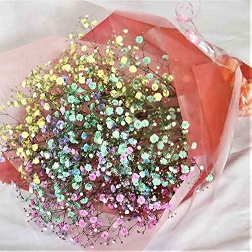 PURIZA  }eBbN ߃JX~\E ԑ C{[ݑ 6Fȏgݍ킹 uKv bsOt Ȃقǂ̉ԑ uv u؂Ȃ肢v ̓ a  j ŌhCt[ƂĂy߂ 10{